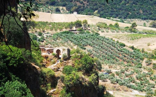 Al fondo, el Arco del Cristo o de los Molinos, junto al Tajo de Ronda.