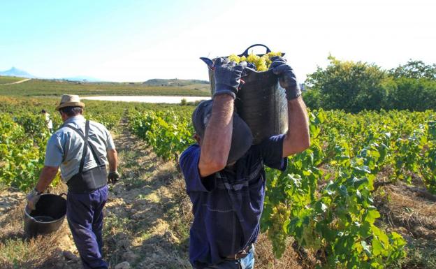 Asaja Málaga denuncia que la Junta lleva dos años sin resolver las ayudas a la Modernización en Explotaciones Agrícolas