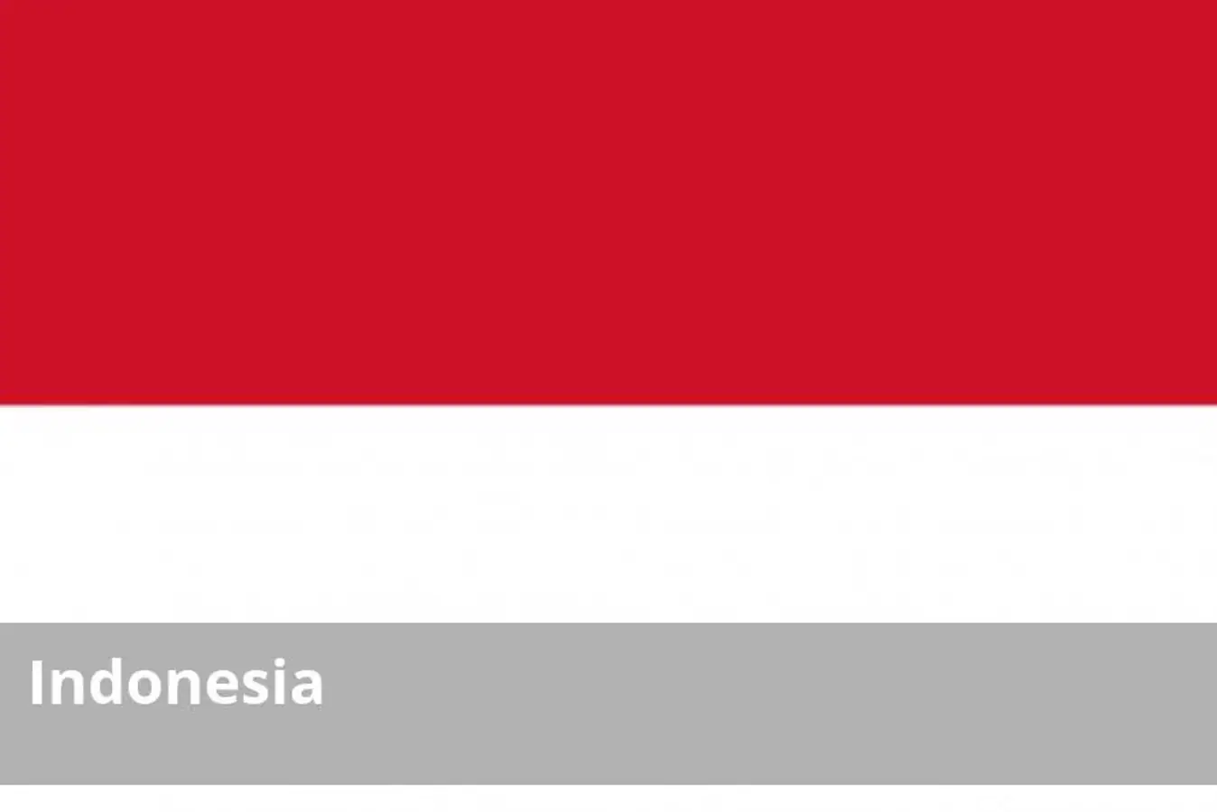 El volcán Agung en la isla de Bali se encuentra en erupción desde el pasado mes de noviembre. Desde entonces, el nivel de alerta no ha bajado de 3 (siendo el nivel 4 el máximo) y se ha establecido una zona de seguridad (actualmente de 4 kilómetros alrededor del volcán) a la que está prohibido el acceso. Del mismo modo, continúa siendo elevado el riesgo de amenaza terrorista en Indonesia, ligada o no al Estado Islámico.