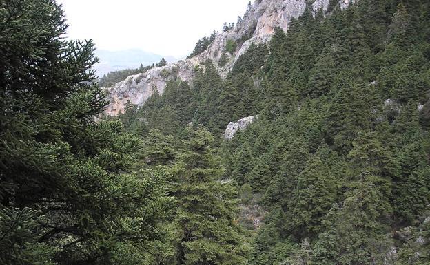 Imagen. La Sierra de las Nieves, en fotos