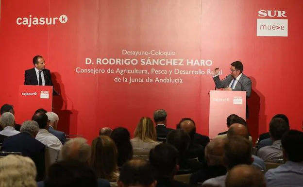Manuel Castillo y Rodrigo Sánchez Haro. 