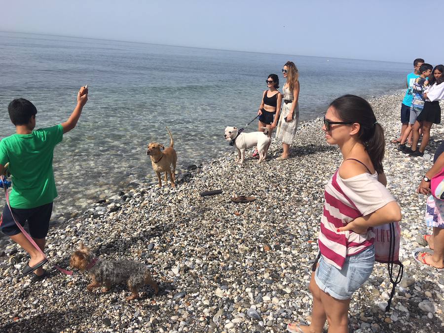 Está situada en la desembocadura del río de Torrox y ocupa casi 300 metros de franja litoral.