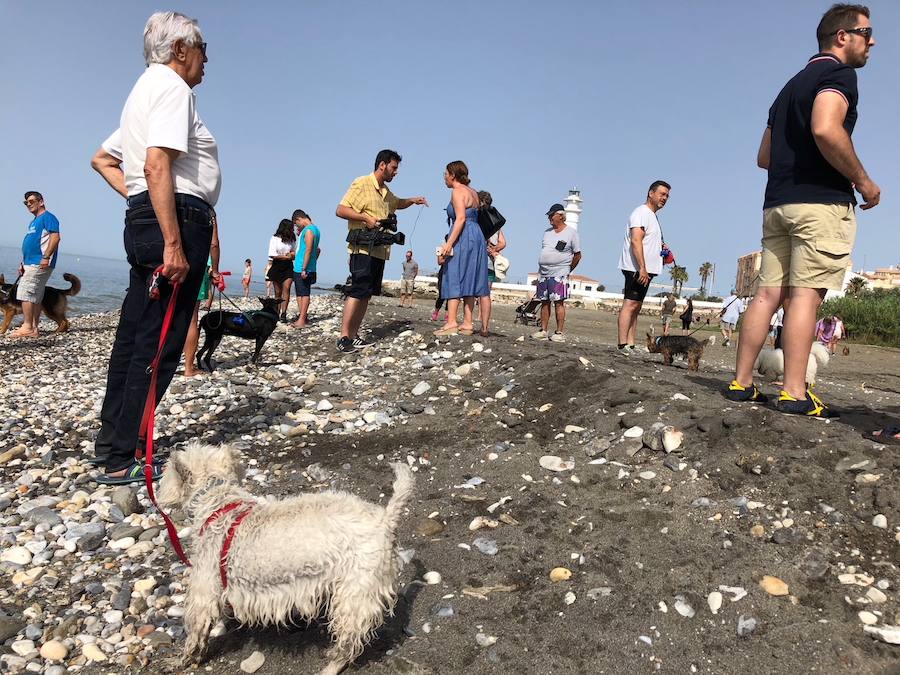 Está situada en la desembocadura del río de Torrox y ocupa casi 300 metros de franja litoral.
