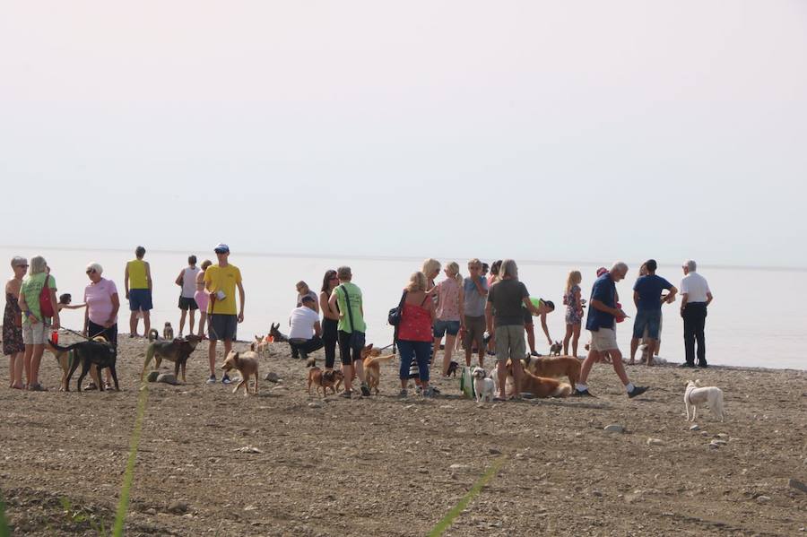 Está situada en la desembocadura del río de Torrox y ocupa casi 300 metros de franja litoral.