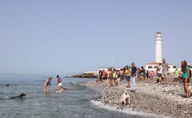 Más de 200 personas han participado en la inauguración de la playa canina junto al Faro de Torrox.
