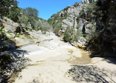 Imagen secundaria 1 - Parte del agua sacada del río sirve para abastecer un lago artificial con nenúfares