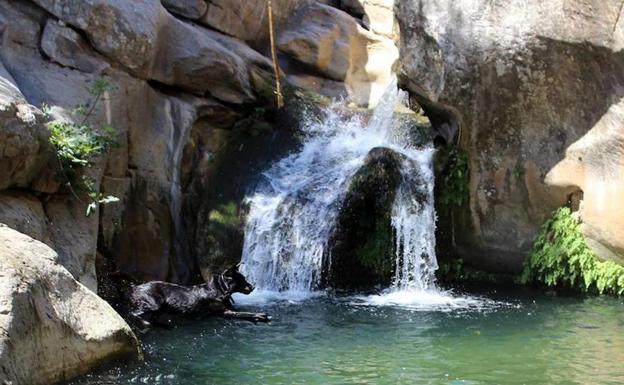 Así estaba hace dos años una de las pozas más conocidas de este arroyo