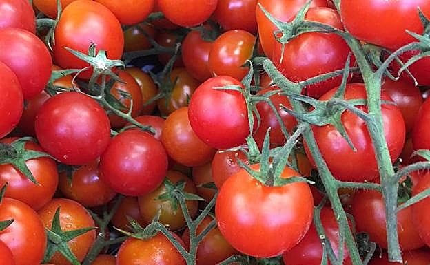 Imagen principal - Buenos hábitos todo el año