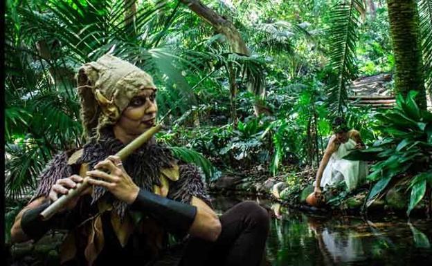 Visita nocturna teatralizada al Jardín Botánico de la Concepción.