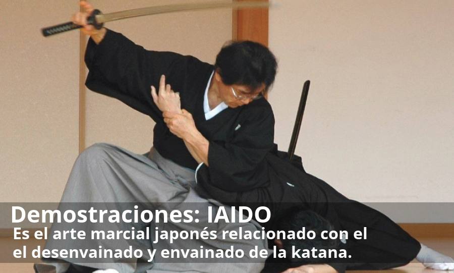 La embajada de Japón en España organiza la primera semana cultural japonesa en Málaga del 15 al 21 de octubre. Proponen «vivir» el país asiático a través de una veintena de actividades, talleres y exposiciones didácticas.