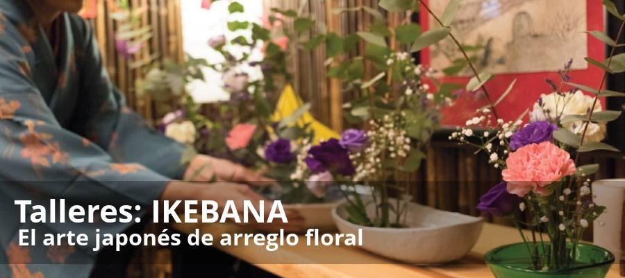 La embajada de Japón en España organiza la primera semana cultural japonesa en Málaga del 15 al 21 de octubre. Proponen «vivir» el país asiático a través de una veintena de actividades, talleres y exposiciones didácticas.