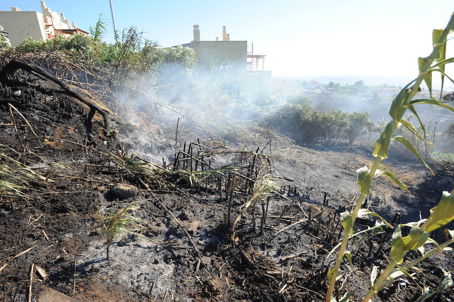 Unos 47 bomberos forestales, dos técnicos de operaciones, una brica, dos autobombas, dos agentes de medio ambiente y dos helicópteros han trabajado en la extinción del incendio que en Manilva obligó a desalojar a 400 personas.