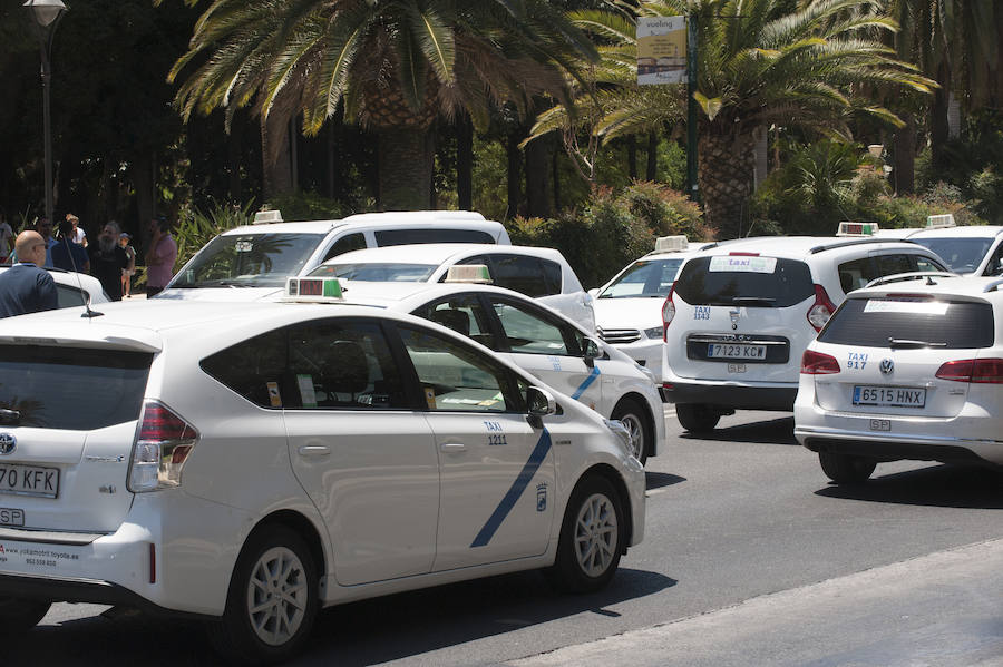 En el tercer día de huelga, los taxistas de Málaga han vuelto a cortar por sorpresa el Paseo del Parque en ambas direcciones.