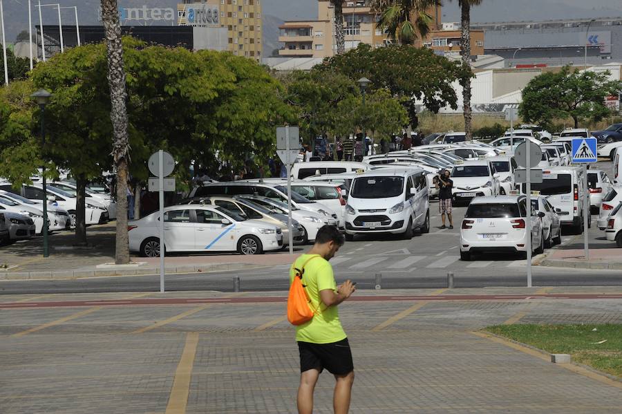 El recorrido se inició en la zona de Martín Carpena y ha terminado en el Paseo del Parque