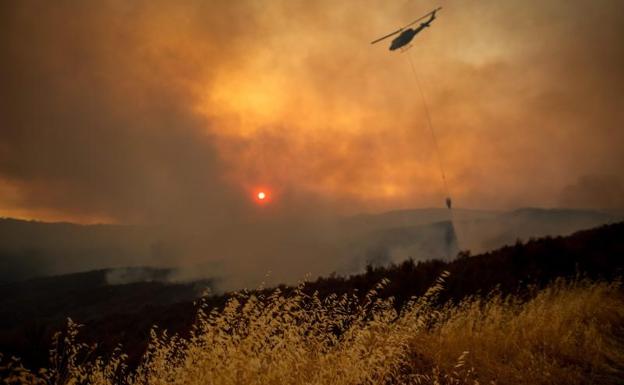 Imagen principal - California registra el peor incendio de su historia