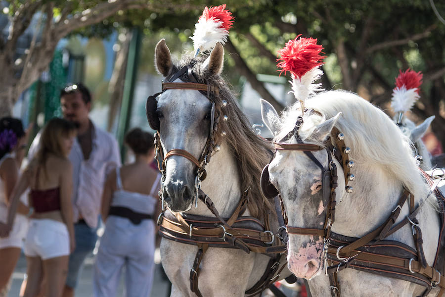 Fotos: Las mejores imágenes del jueves de la Feria de Málaga 2018