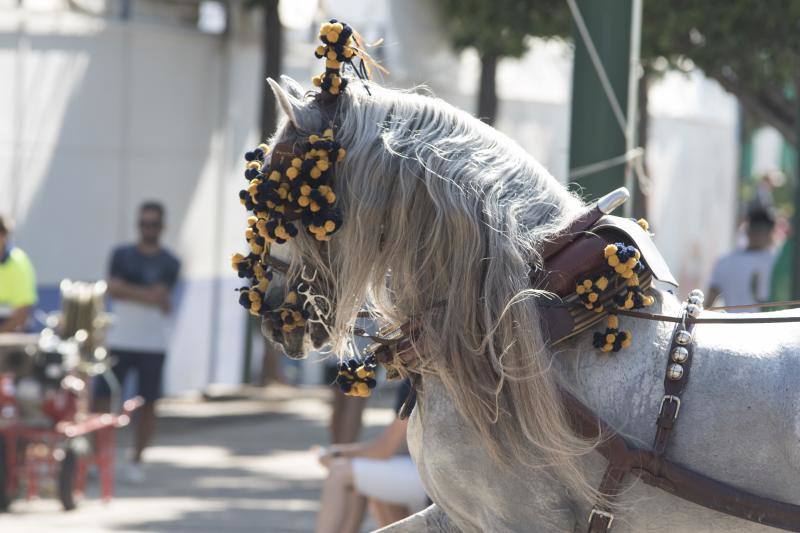 Gran ambiente en el penúltimo día de fiesta tanto en el Real como en el Centro