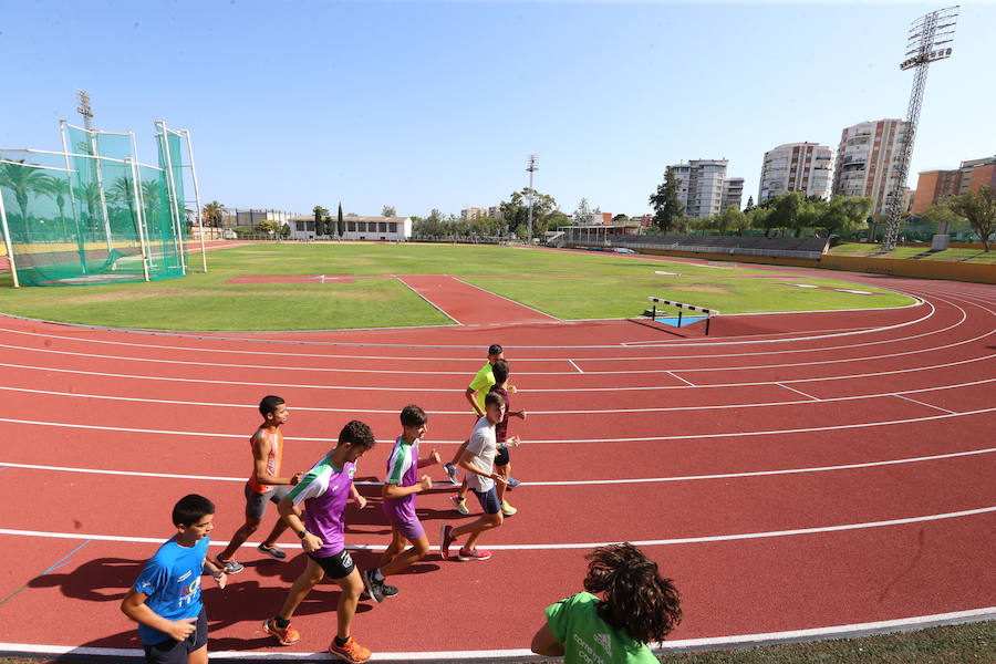 Imagen principal - Carranque: La céntrica ciudad deportiva, pese a tener un tartán renovado hace dos años, pasa a un segundo plano.Estadio Torremolinos: Será la cuarta sede y, además, se procederá a realizar las carreras de cross en sus alrededores. Pista universitaria: La pista de la UMA, en Teatinos, renovó su tartán en el primer trimestre del año cara al Mundial. 
