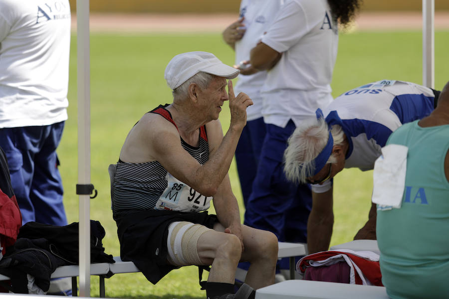 Málaga se convierte hasta el 16 de septiembre en la capital mundial del atletismo máster con la celebración del XXIII Campeonato Mundial de Atletismo Máster, que contará con la participación de más de 8.000 atletas, de los cuales 1.788 son españoles