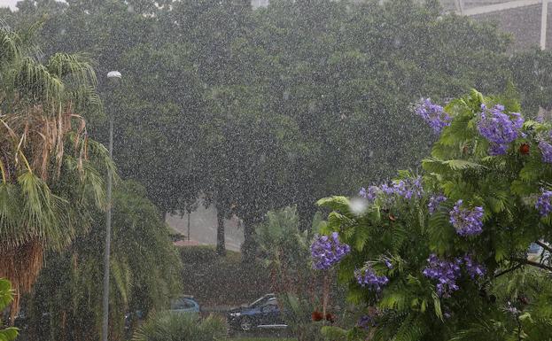 Lluvias caídas este sábado en la capital 