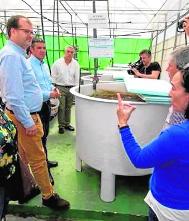 Los peces generan nutrientes que se aprovechan para las plantas. 