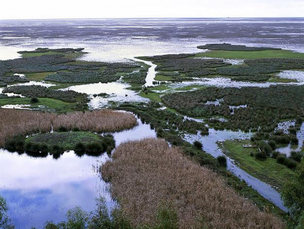 El humedal de Doñana, una de las zonas más frágiles del parque. 