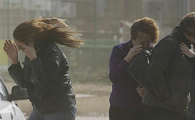 El aviso por viento de Aemet estará vigente hasta las 20 horas. 