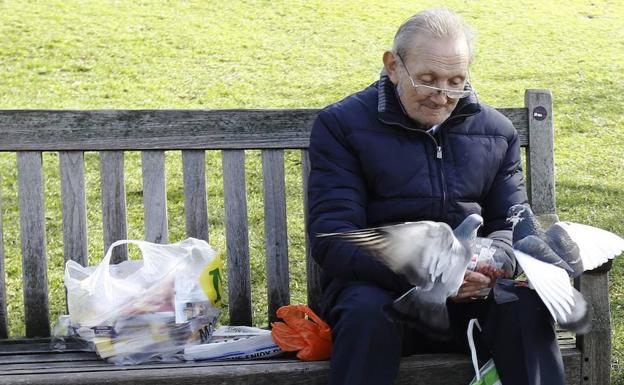 Un hombre da de comer a unas palomas. 