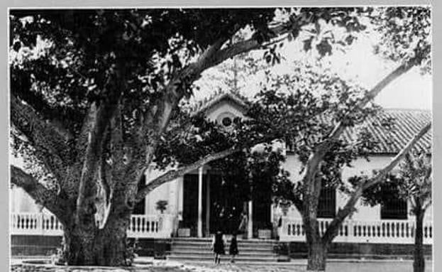 Una imagen histórica del colegio, con el gran ficus en el patio.