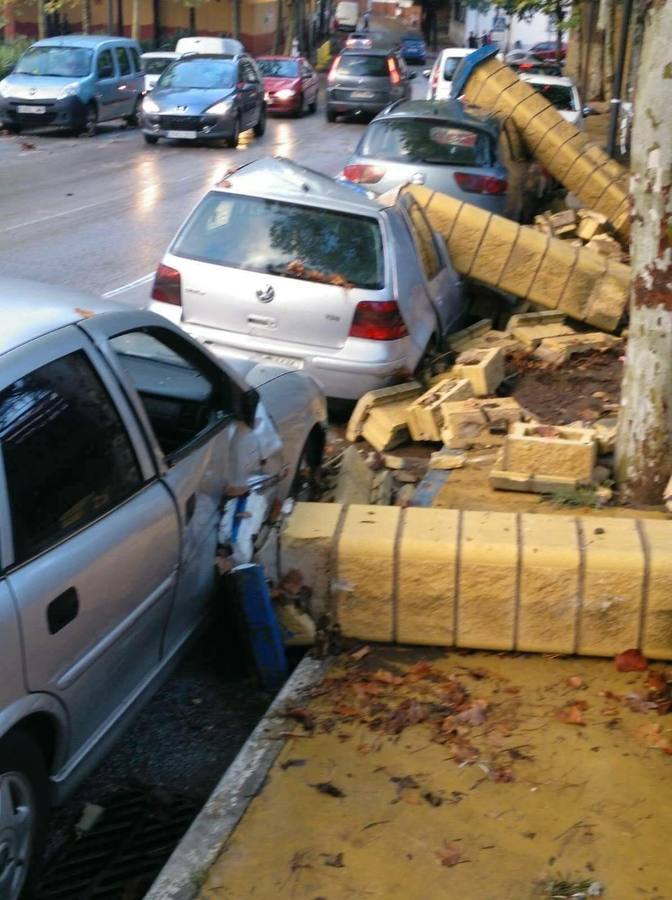 Efectos de la lluvia en Marbella.