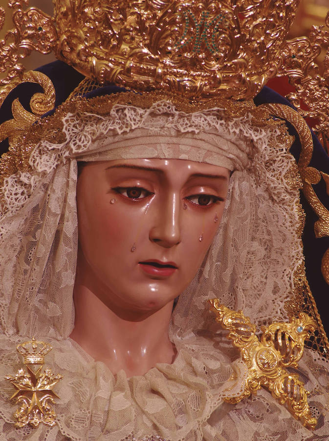 La muestra, organizada por la junta provincial de la Asociación Española contra el Cáncer (AECC), reúne en la calle Larios 45 fotos de Eduardo Nieto de las Vírgenes de Semana Santa y de la Patrona de Málaga. Más información  aquí .