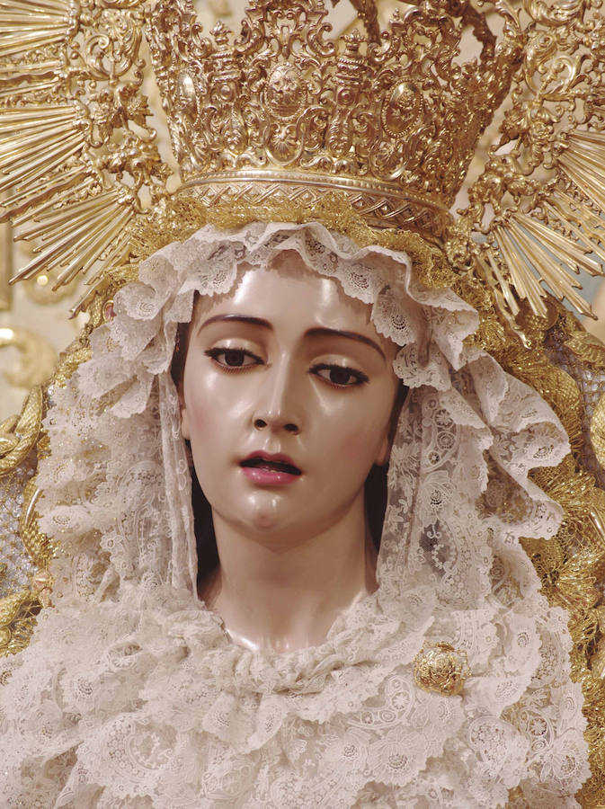 La muestra, organizada por la junta provincial de la Asociación Española contra el Cáncer (AECC), reúne en la calle Larios 45 fotos de Eduardo Nieto de las Vírgenes de Semana Santa y de la Patrona de Málaga. Más información  aquí .