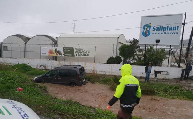 El conductor atrapado en el arroyo Manzano de Torrox. 