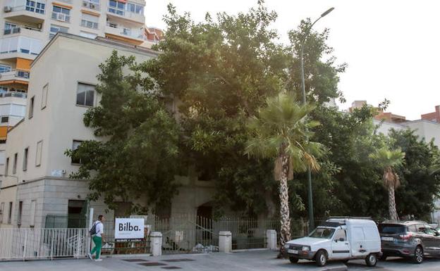 Los árboles existentes en la zona ajardinada del edificio han crecido de manera descontrolada hasta ocultar buena parte de la fachada.