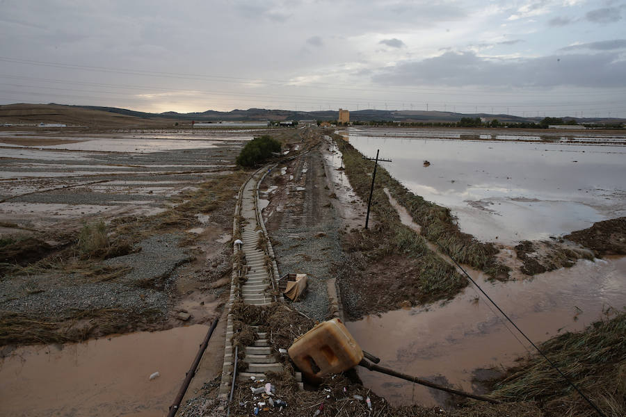 Bobadilla, Campillos, Teba, Casarabonela, Ardales y Estepona se llevan lo peor de la alerta roja que ha dejado registros históricos