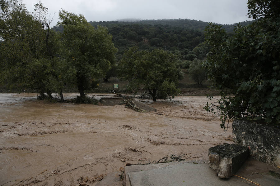 Bobadilla, Campillos, Teba, Casarabonela, Ardales y Estepona se llevan lo peor de la alerta roja que ha dejado registros históricos