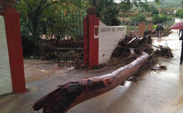 Imagen principal - «Hemos sentido mucha impotencia. ¿Quién para el agua?»