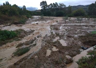 Imagen secundaria 1 - «Hemos sentido mucha impotencia. ¿Quién para el agua?»