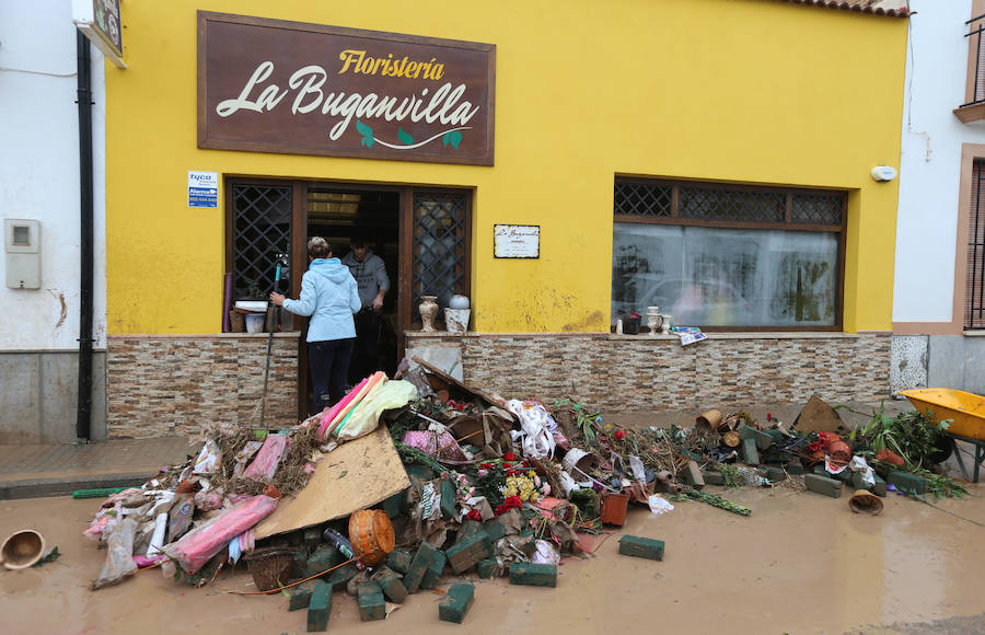 Bobadilla, Campillos, Teba, Casarabonela, Ardales y Estepona se llevan lo peor de la alerta roja que ha dejado registros históricos