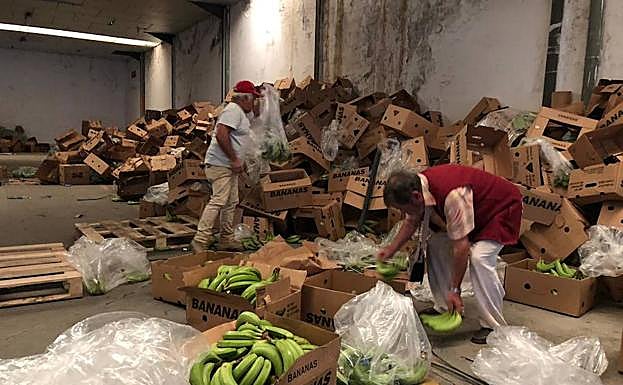La droga estaba oculta en un cargamento de plátanos. 