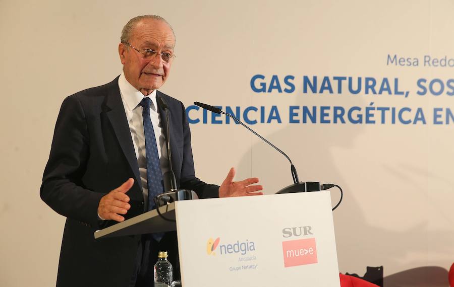 Fotos: Así ha sido la mesa redonda &#039;Gas natural, sostenibilidad y eficiencia energética en el sector turístico&#039;