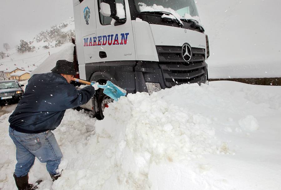 Los efectos del temporal de frío y nieve han llegado a Asturias, al Sistema Central y han dejado un manto blanco en Sierra Nevada