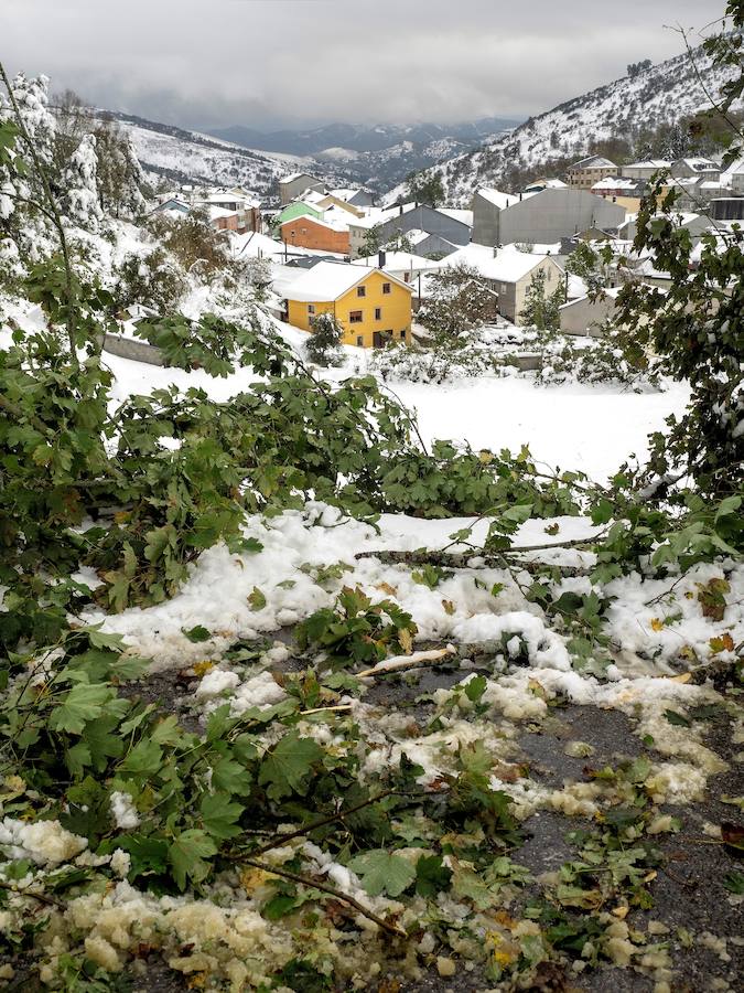 Los efectos del temporal de frío y nieve han llegado a Asturias, al Sistema Central y han dejado un manto blanco en Sierra Nevada