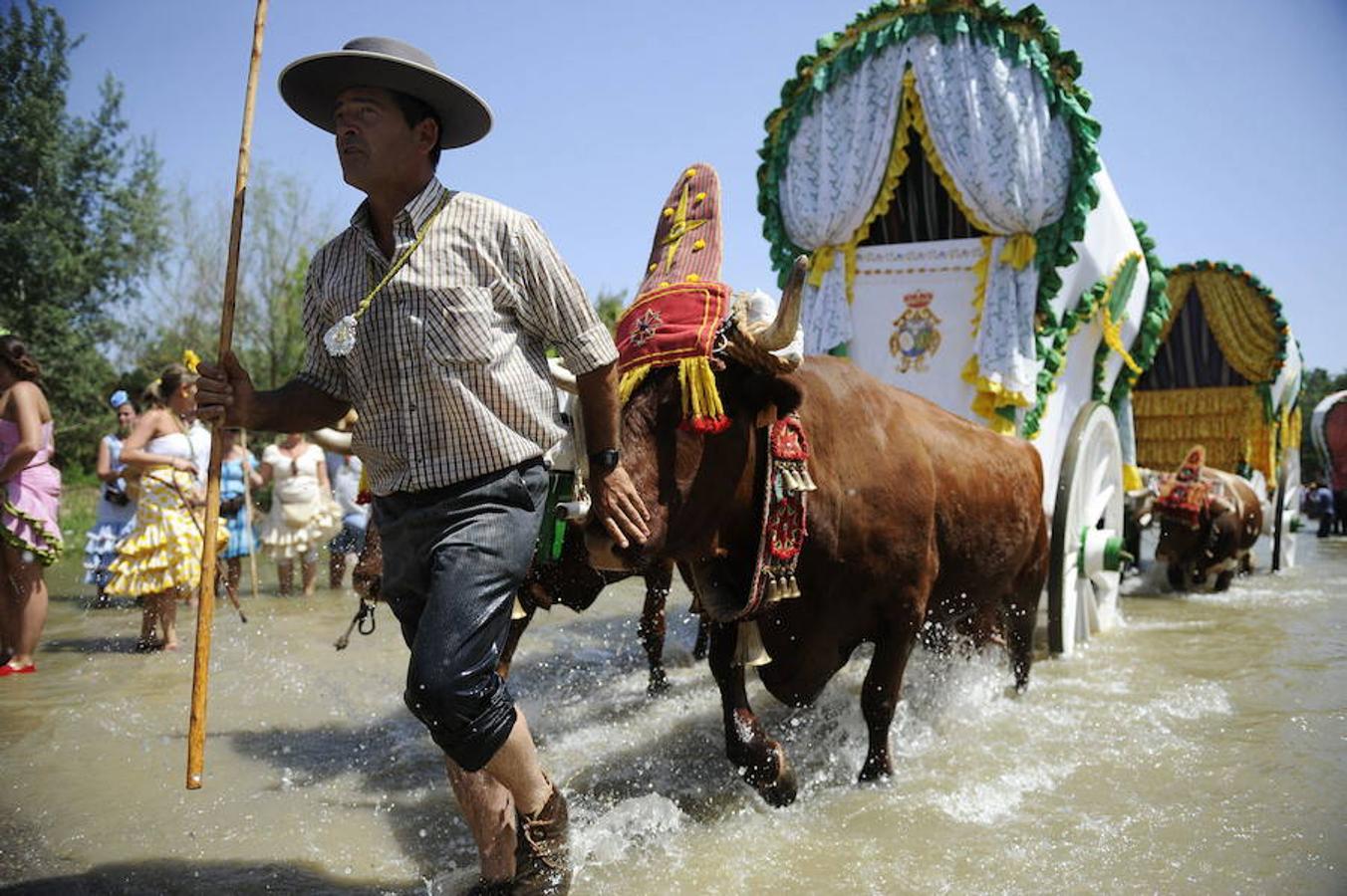 Los peregrinos cruzan Doñana en su camino hacia El Rocío.