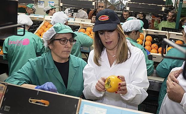 Susana Díaz, durante una visita en Lepe a la cooperativa agrícola Cobella.