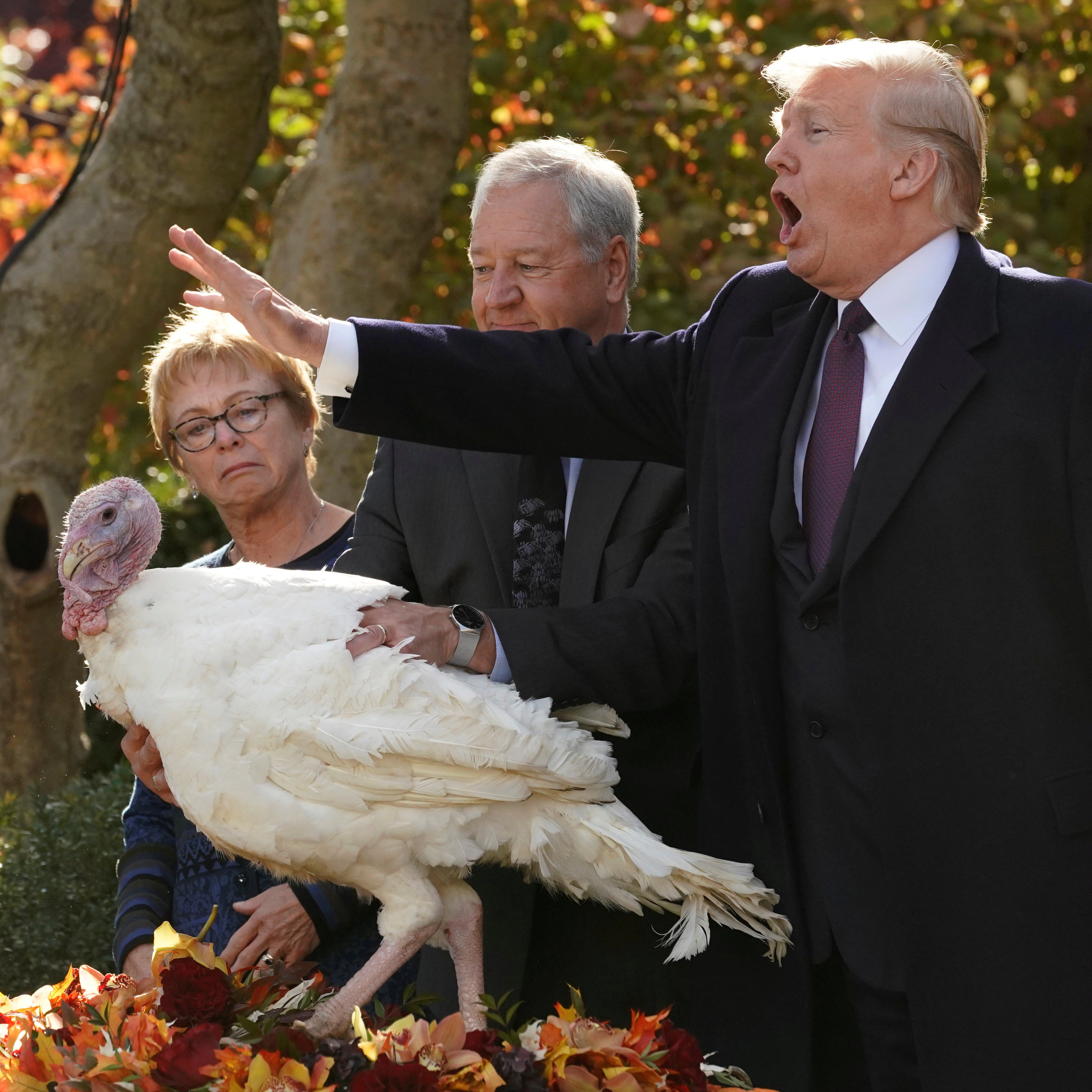 Imagen secundaria 1 - En la imagen superior, un pavo asado preside el banquete familiar. Abajo, Trump y Bush, presidente y expresidente de Estados Unidos, respectivamente, perdonan a un pavo durante el Día de Acción de Gracias. 
