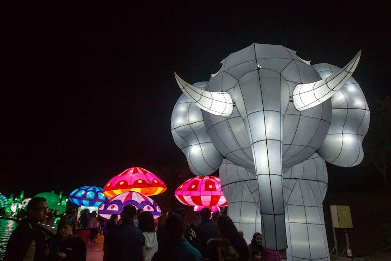 El acontecimiento luminoso comenzó el pasado jueves por las calles de la ciudad mexicana de Monterrey