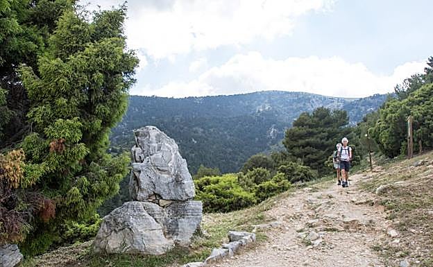 Imagen de la Sierra de las Nieves. 