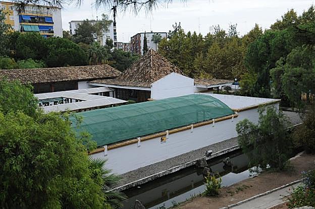 Para la nueva biblioteca central de Marbella se destina un millón de euros de los Edusi. 