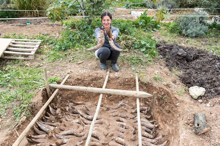 Finca la Torre ofrece experiencias ligadas a la agricultura biodinámica y ecológica.